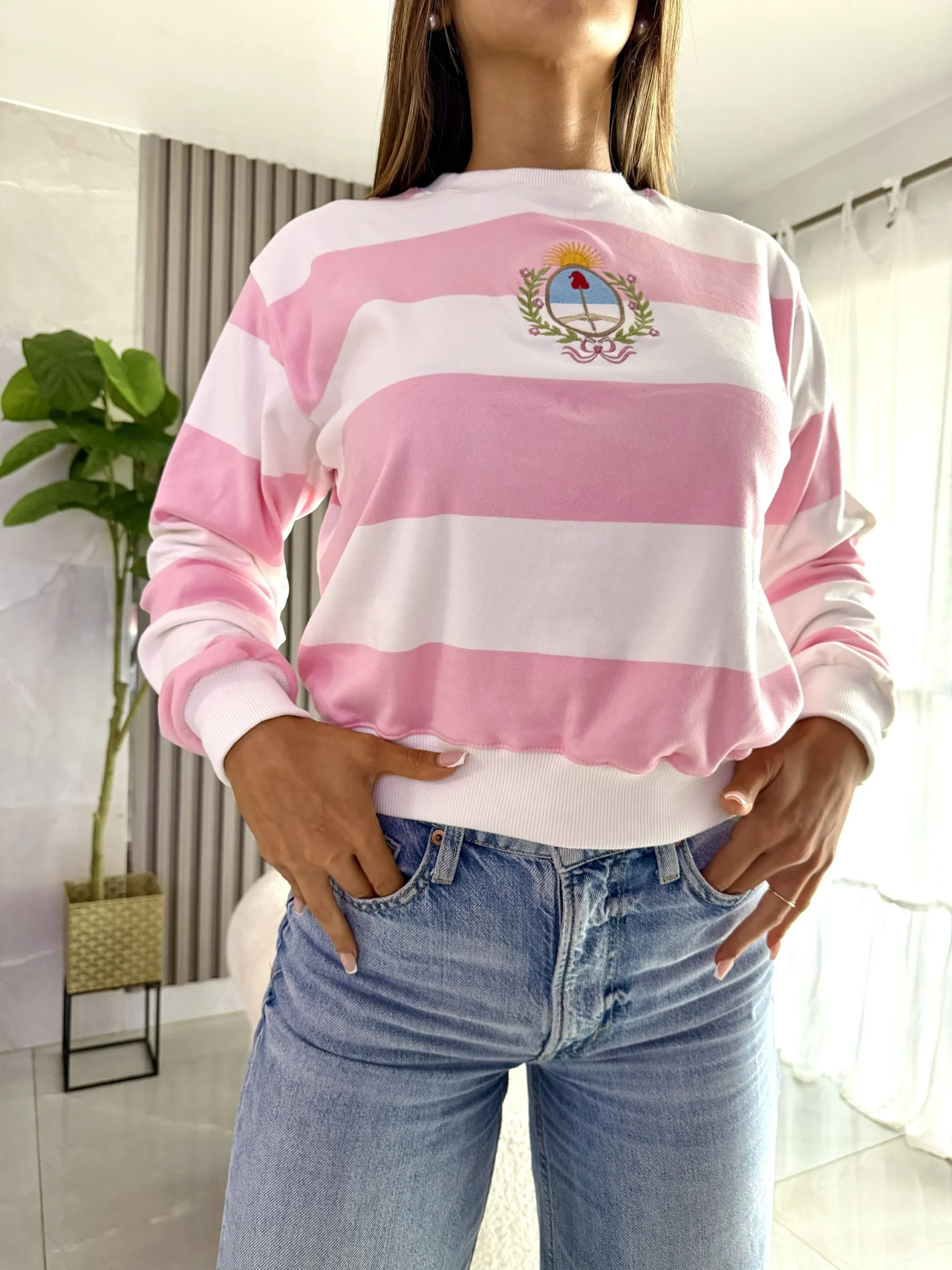 Alternative view of Buzo ARGENTINA ESCUDO/ rayado