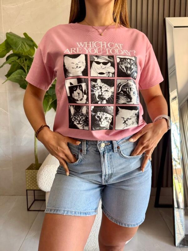 Reme GATITOS - Imagen 4