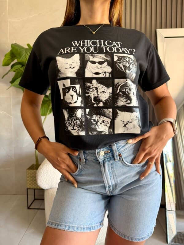 Reme GATITOS - Imagen 3